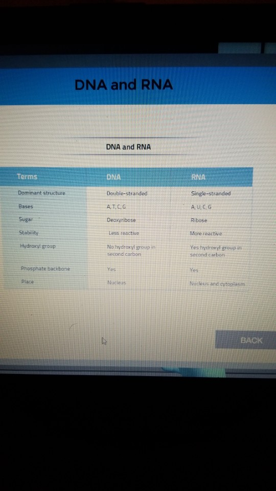 Solved Click "View Image" to view the difference between the | Chegg.com