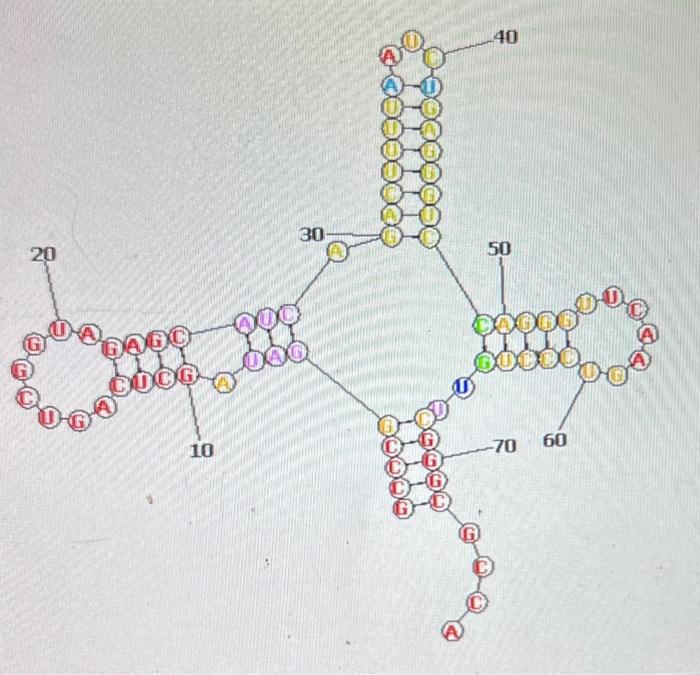 Solved what is the name of this structure ? | Chegg.com
