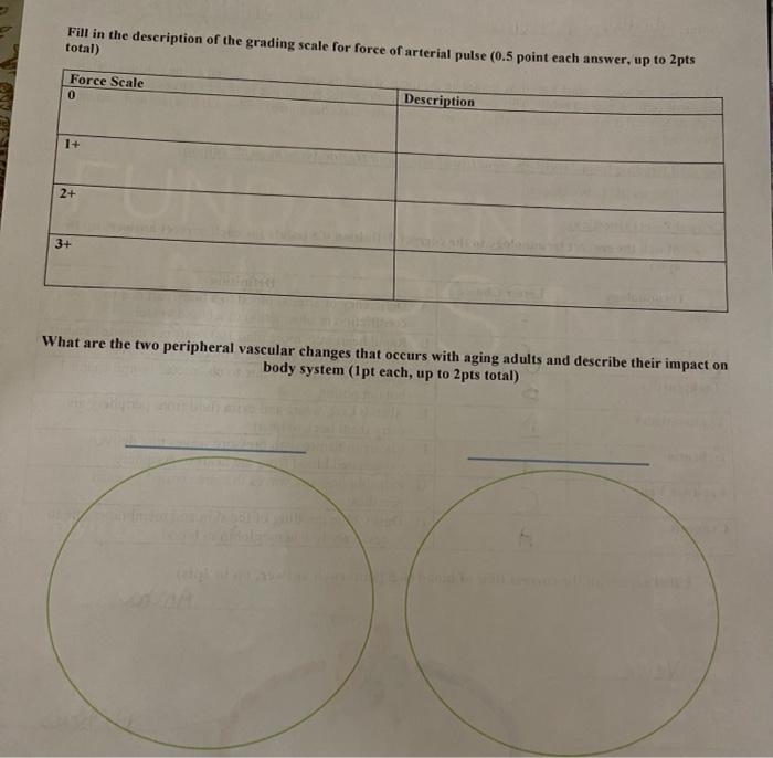 solved-fill-in-the-description-of-the-grading-scale-for