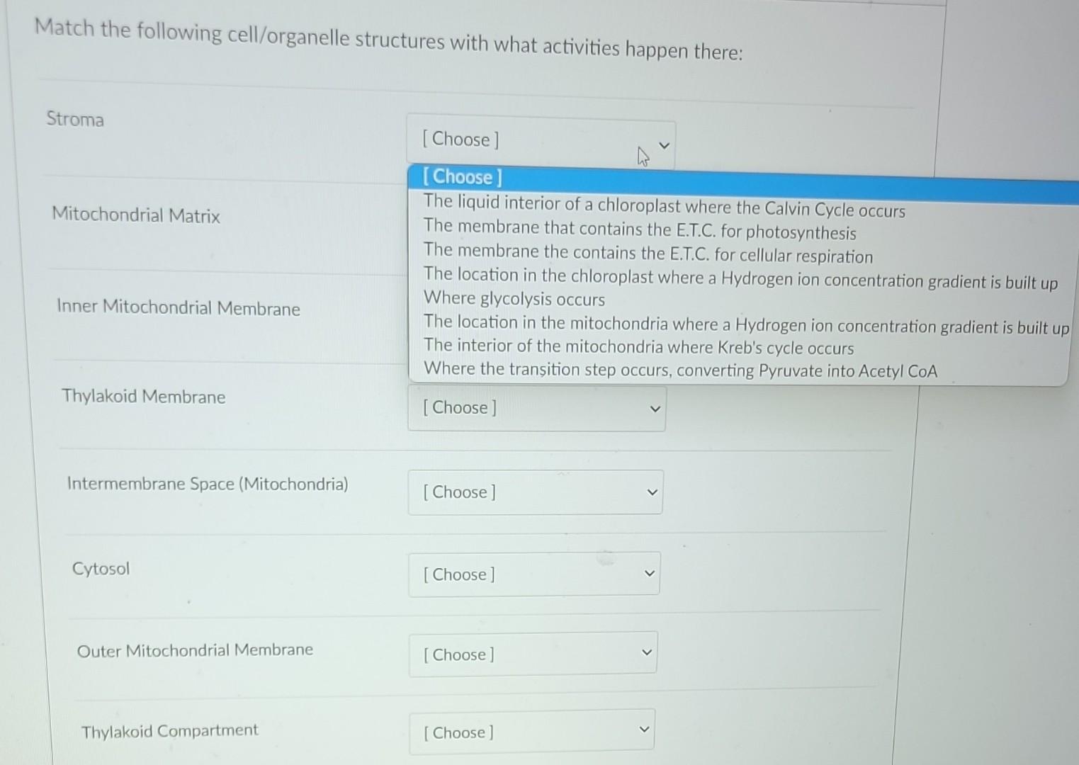 Solved Match The Following Organelle Cellular Structure With Chegg Com