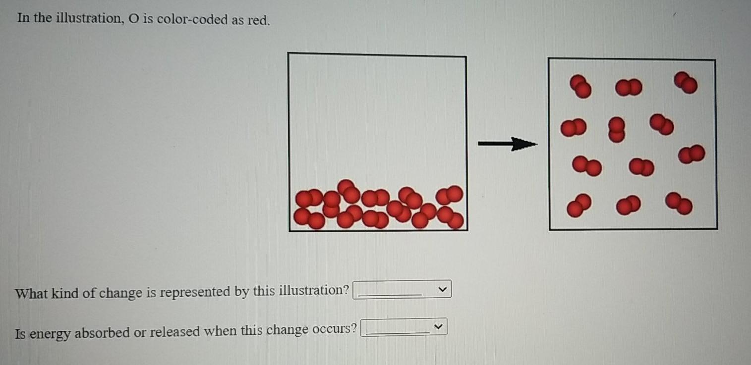 Solved In the illustration, O is colorcoded as red. What
