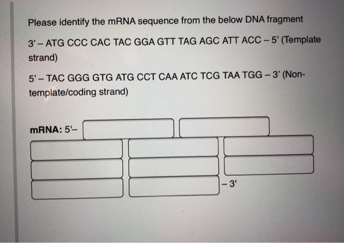 Solved Please identify the mRNA sequence from the below DNA | Chegg.com