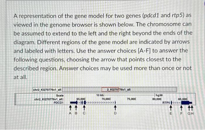 Solved A representation of the gene model for two genes ( | Chegg.com