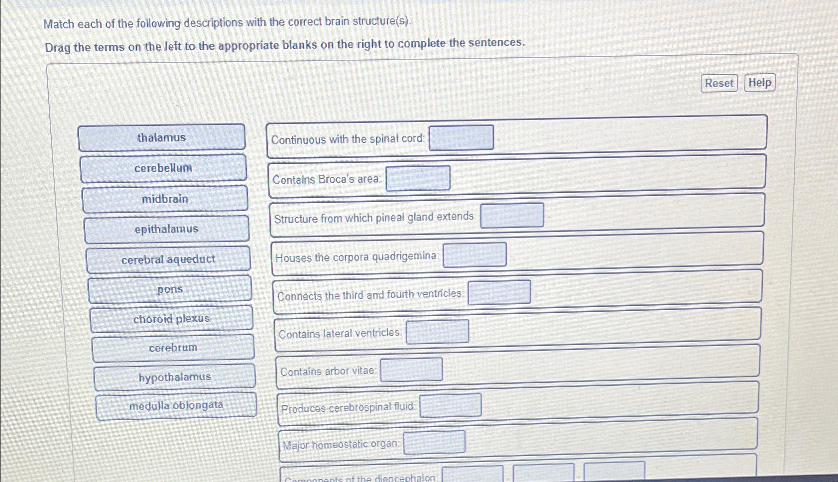 Solved Match each of the following descriptions with the | Chegg.com