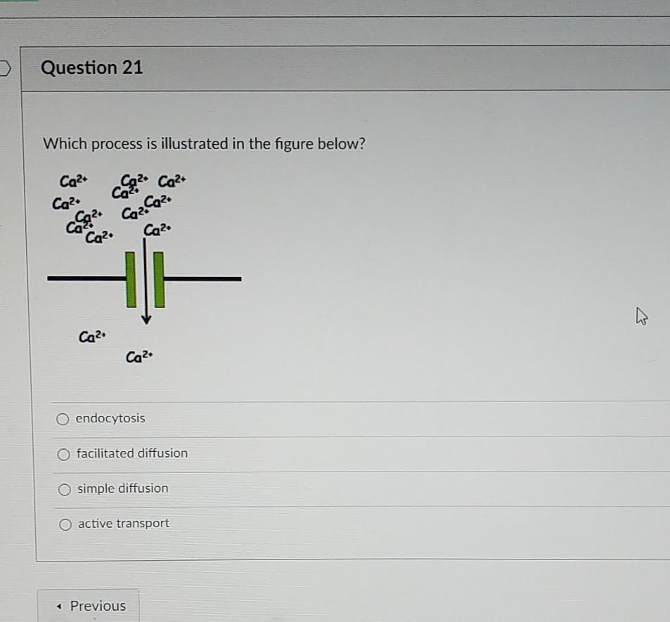 Solved Question 21 Which process is illustrated in the | Chegg.com
