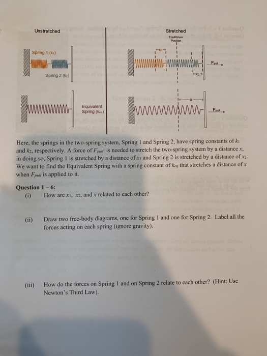 Solved Unstretched Stretched Spring 1 (i) Spring 2 | Chegg.com