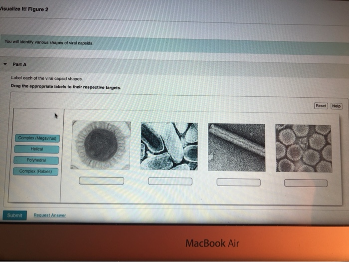 Solved Visualize It! Figure 2 You will identify various | Chegg.com
