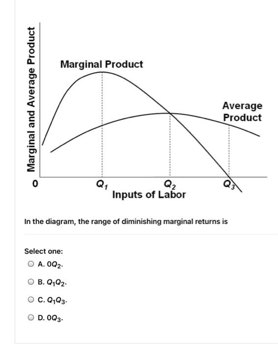 Solved Marginal Product Marginal and Average Product Average | Chegg.com