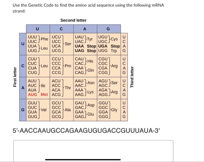 Solved Use the Genetic Code to find the amino acid sequence | Chegg.com