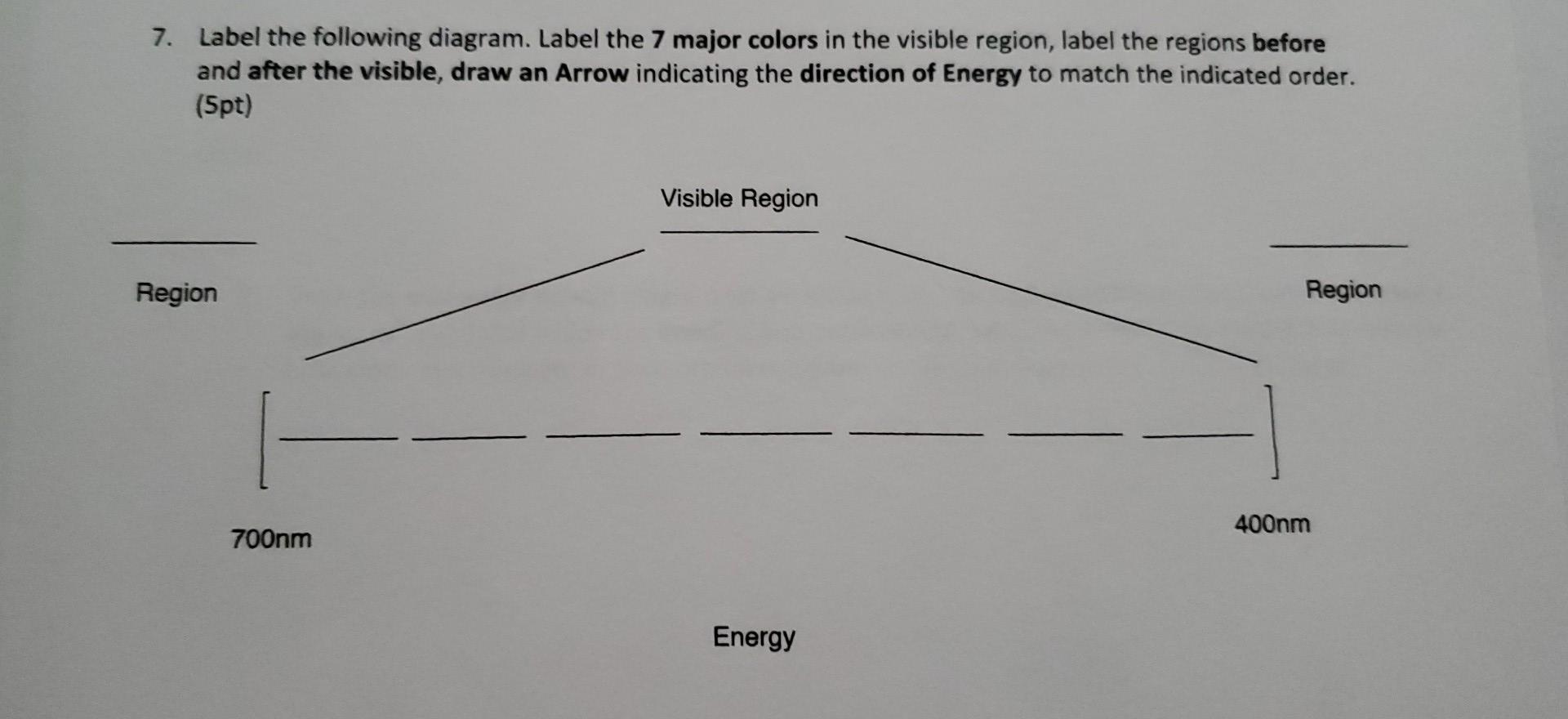 Solved 7. Label the following diagram. Label the 7 major | Chegg.com
