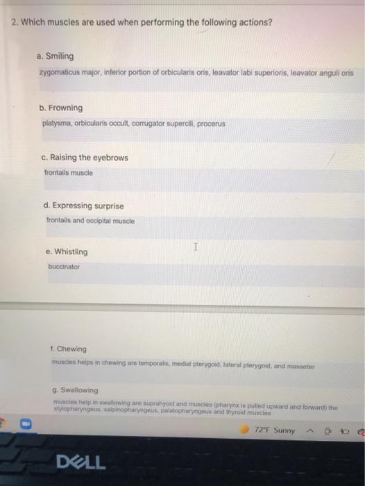 2. Which muscles are used when performing the Chegg