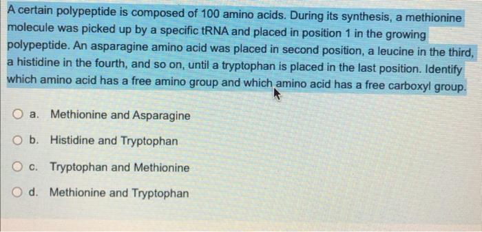 Solved A certain polypeptide is composed of 100 amino acids. | Chegg.com