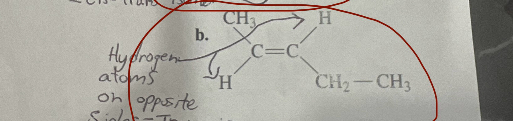 Solved What is the name of this structure | Chegg.com