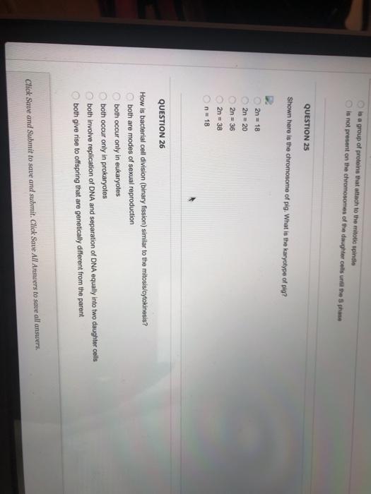 Solved Completion Status: QUESTION 21 Based on the gene and | Chegg.com