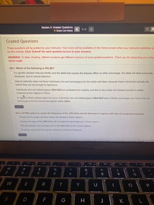 Solved Section 5: Graded Questions Sickdo-Cell Alles 1/1 | Chegg.com