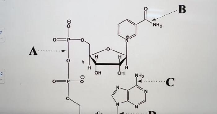 How To Form a Phosphate Anhydride Linkage in Nucleotide Derivatives -  Sherstyuk - 2015 - ChemBioChem - Wiley Online Library