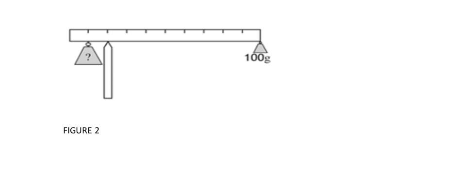 Solved A 100g weight is placed on the end of a 200g meter | Chegg.com