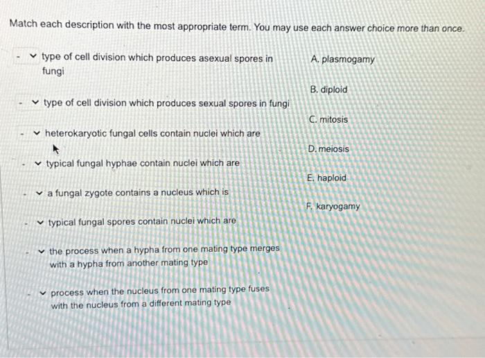 Solved Match each description with the most appropriate | Chegg.com