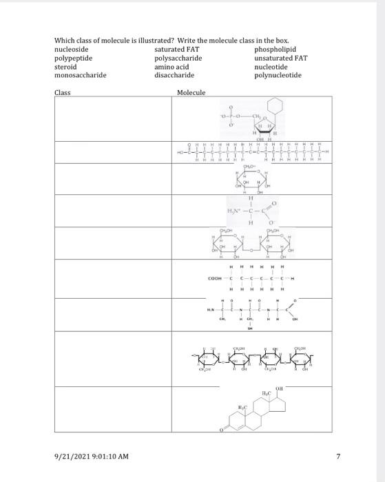 Solved Which class of molecule is illustrated? Write the | Chegg.com