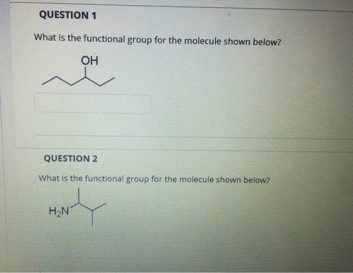 Solved QUESTION 1 What is the functional group for the | Chegg.com