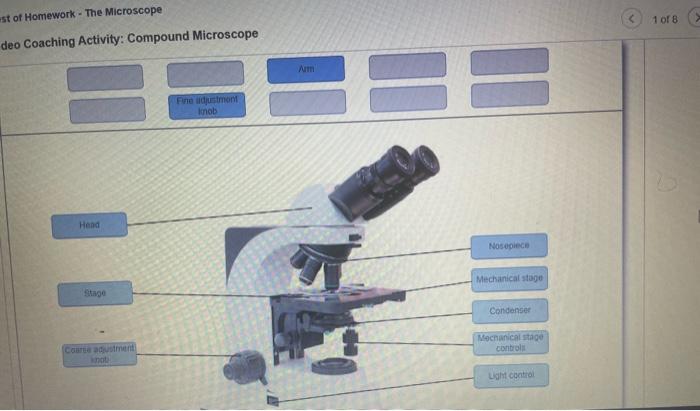 Solved deo Coaching Activity: Compound Microscope | Chegg.com