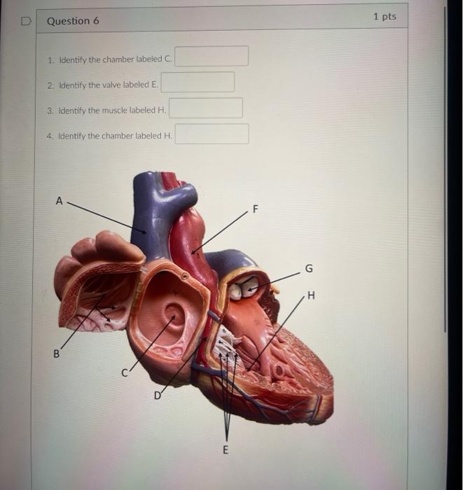 student submitted image, transcription available below