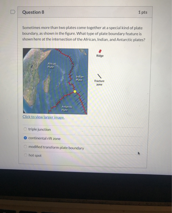 Solved Question 8 1 pts Sometimes more than two plates come