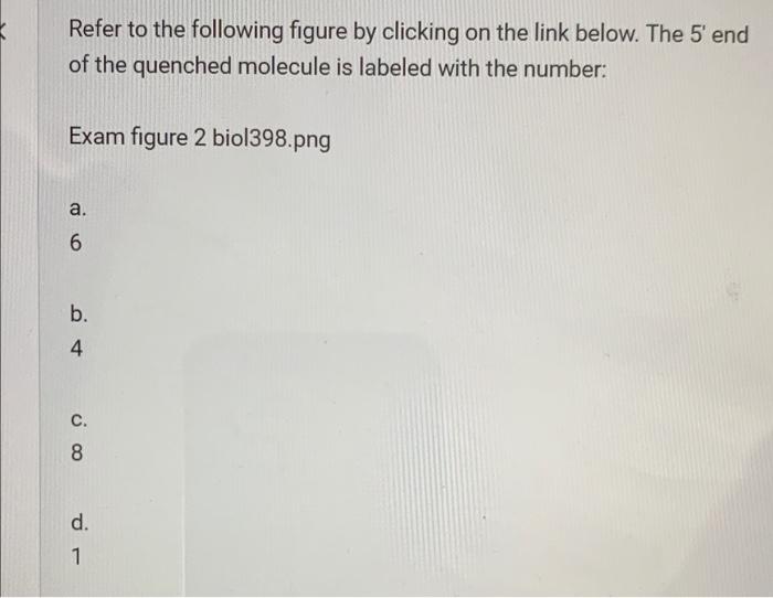 During the polymerization of nucleic acids, bonds are