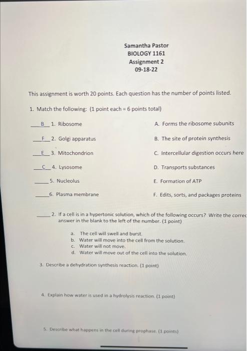Solved This assignment is worth 20 points. Each question has | Chegg.com