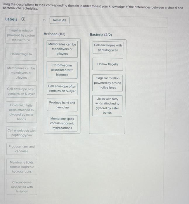 Drag the descriptions to their corresponding domain in order to test your knowiedge of the differences between archaeal and b