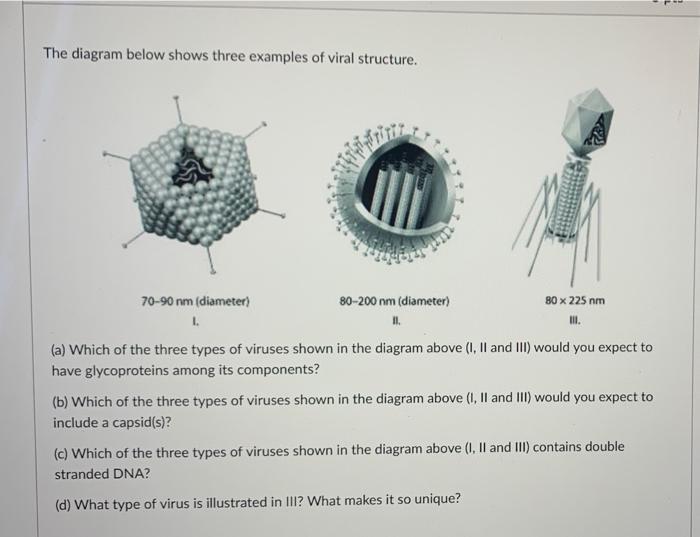 Solved The diagram below shows three examples of viral | Chegg.com