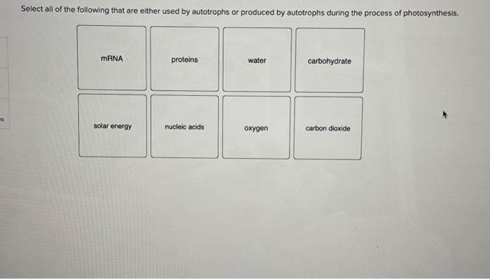 describe the process of photosynthesis in autotrophs