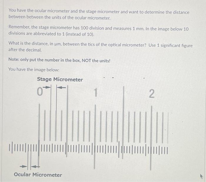 Solved You have the ocular micrometer and the stage