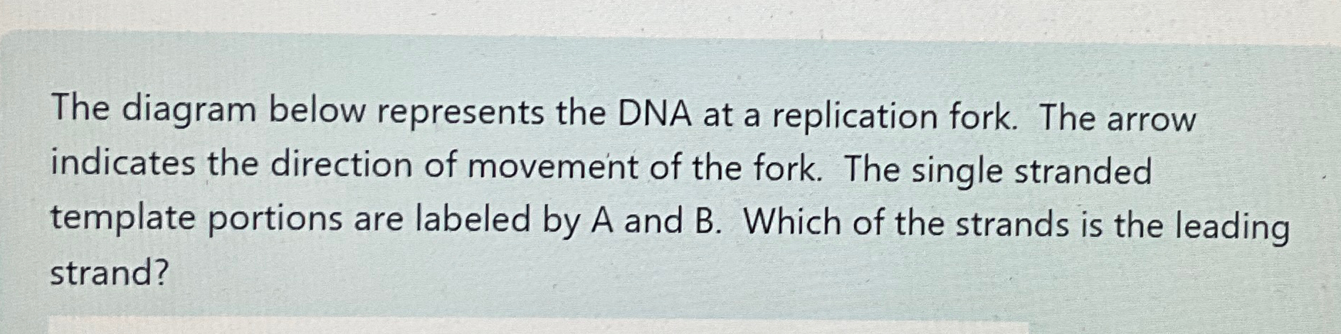Solved The diagram below represents the DNA at a replication | Chegg.com