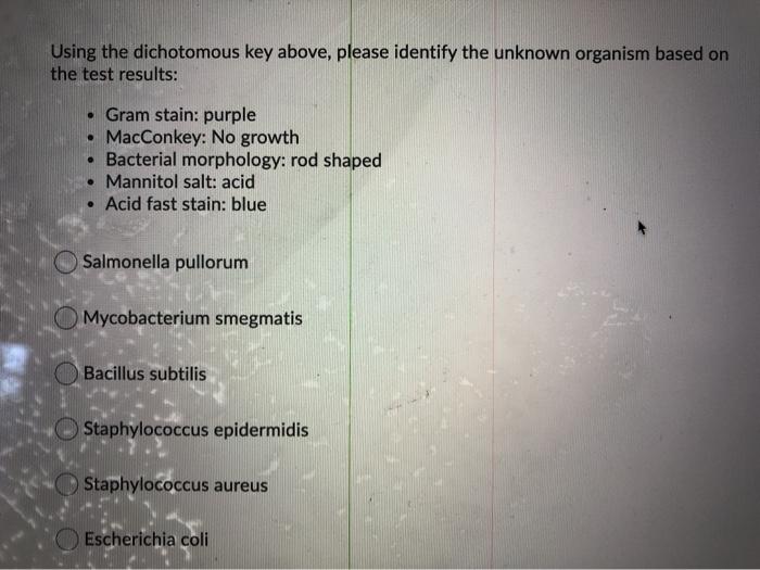 Solved Using the dichotomous key above, please identify the | Chegg.com
