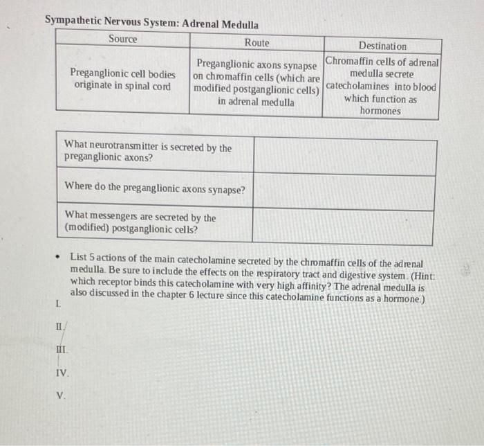 Solved Sympathetic Nervous System Adrenal Medulla Source