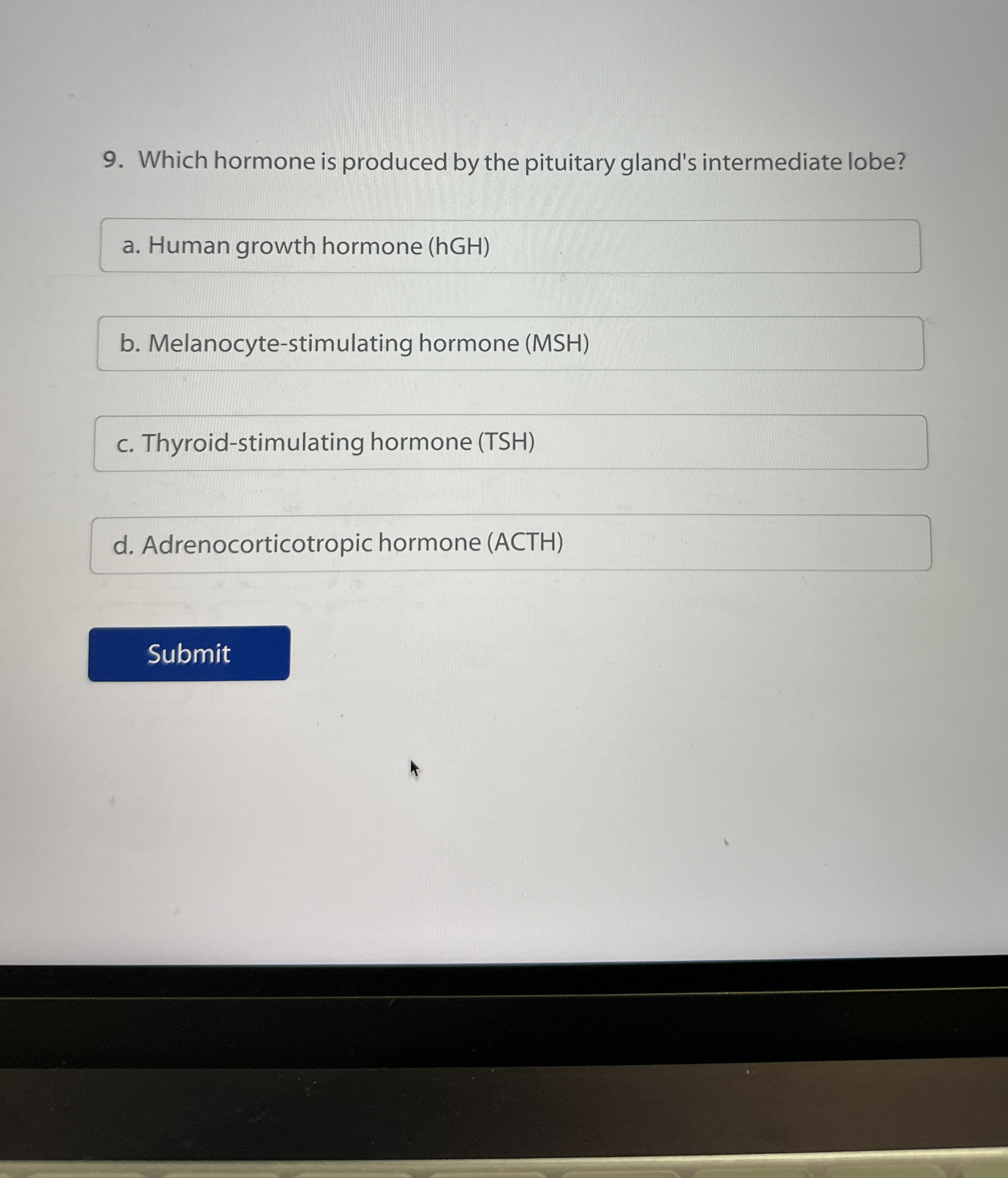 Memahami dan Menguasai Marketing Digital Gland: Strategi Komprehensif untuk Era Digital