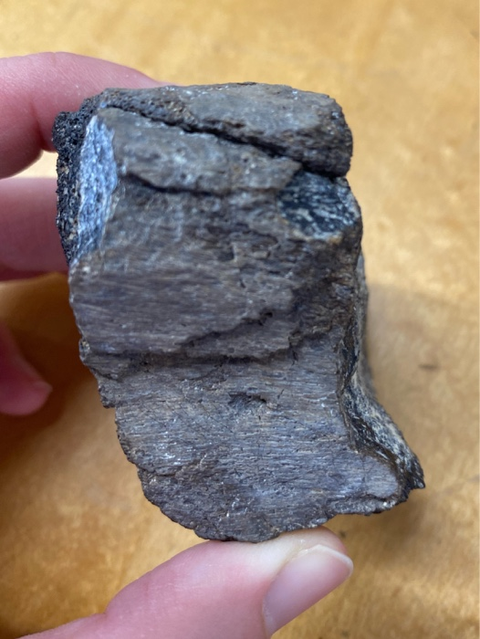 Solved what is the name of this rock or mineral? (all | Chegg.com