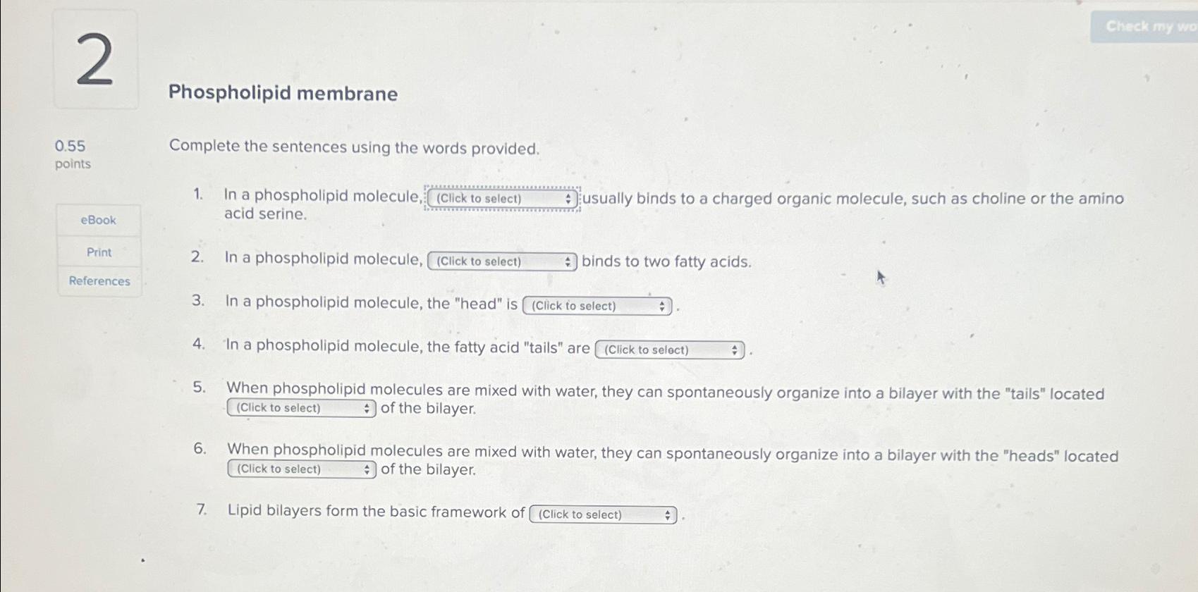 Solved Phospholipid membrane0.55 | Chegg.com