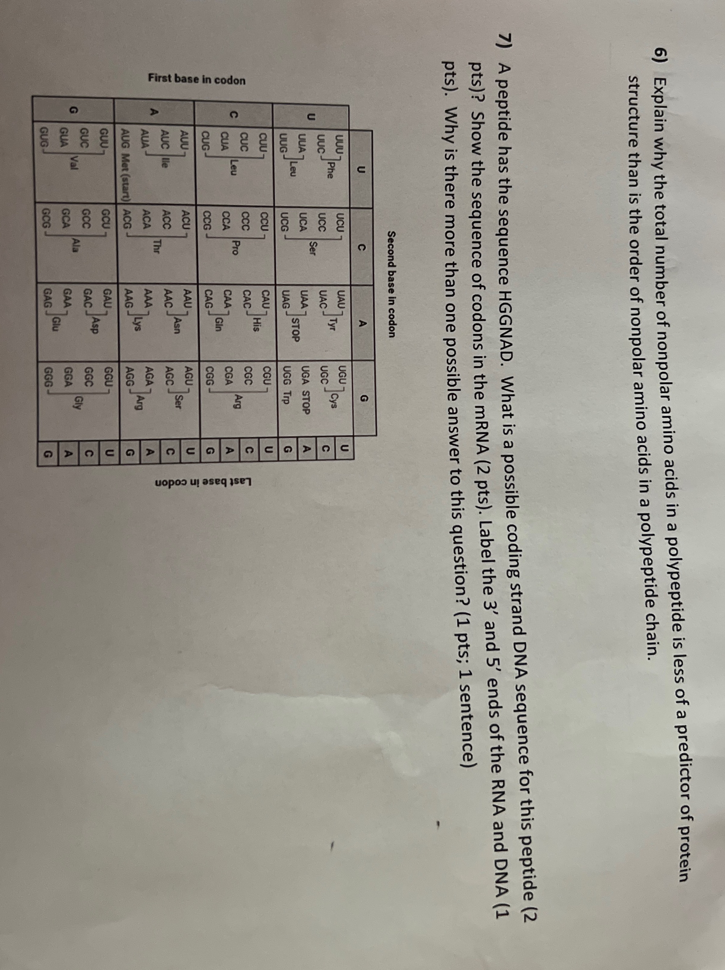 Explain why the total number of nonpolar amino acids