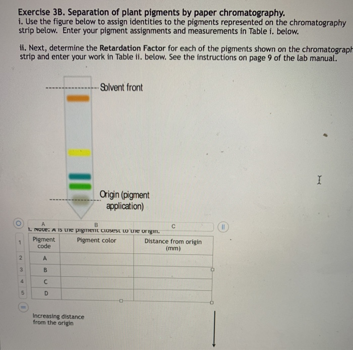 paper chromatography of photosynthetic pigments