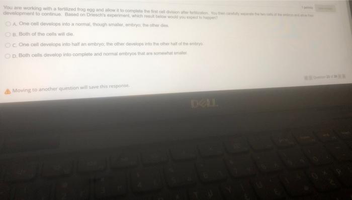 Solved You are working with a fertilized frog 9 and low to | Chegg.com