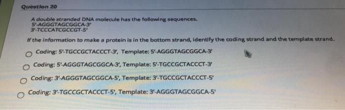 Solved Question 20 A double stranded DNA molecule has the | Chegg.com