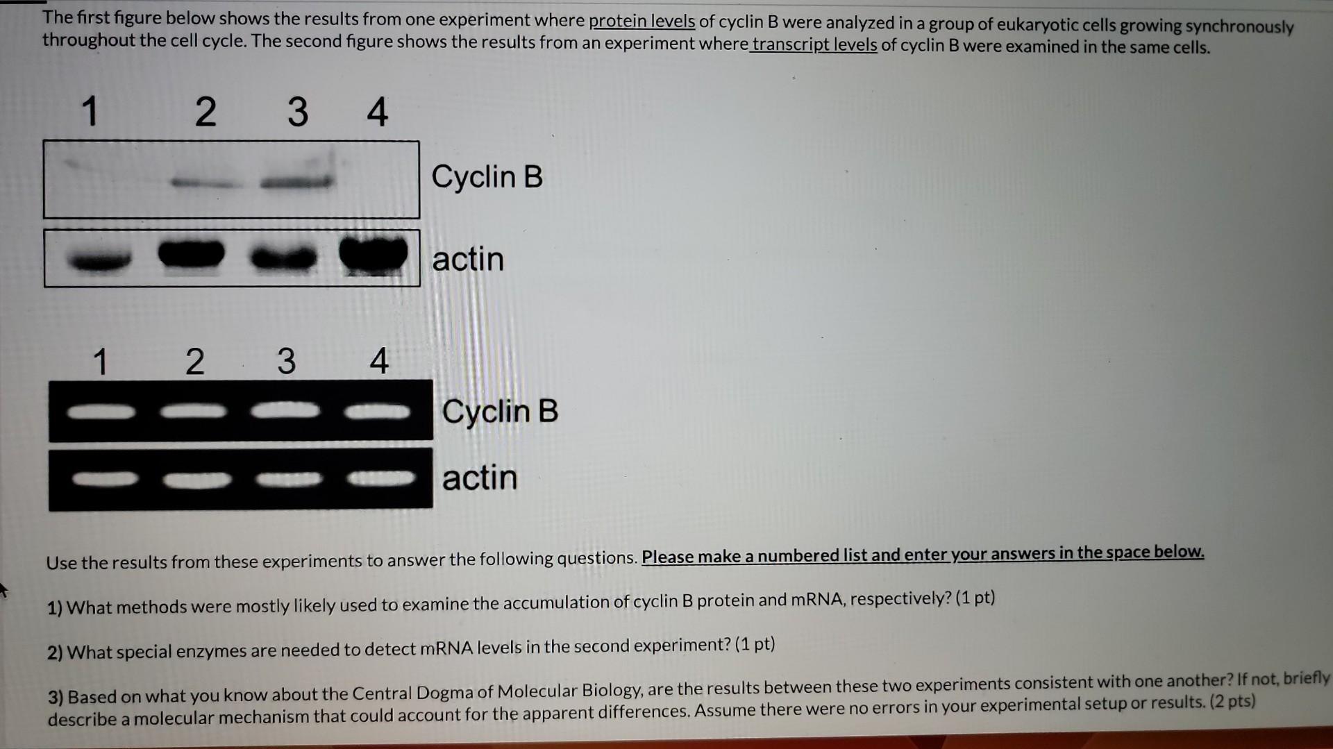 Solved The first figure below shows the results from one | Chegg.com