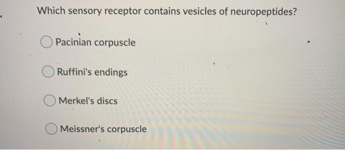 Solved Which Sensory Receptor Contains Vesicles Of Neurop Chegg Com