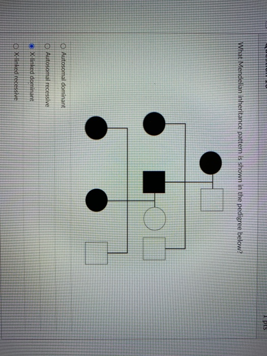 Solved What Mendelian inheritance pattern is show in the | Chegg.com