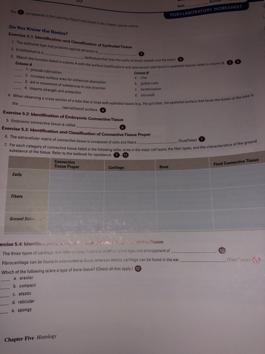Solved Date: The corresponds to the Learning Objectivels | Chegg.com solved-date-the-corresponds-to-the-learning-objectivels-chegg-com