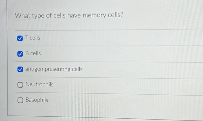 depends on the presence of memory b cells and t cells