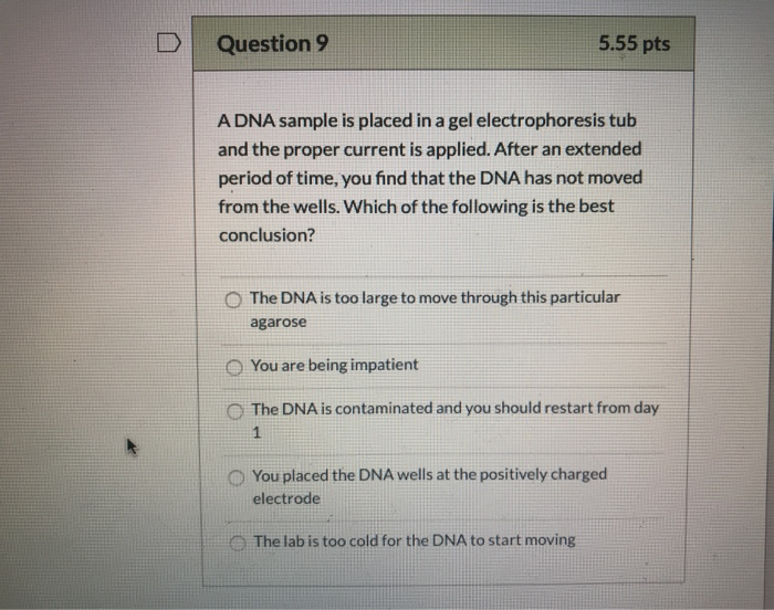 Solved Question 9 5.55 pts A DNA sample is placed in a gel | Chegg.com