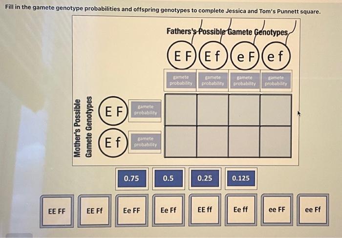 Solved Fill in the gamete genotype probabilities and | Chegg.com